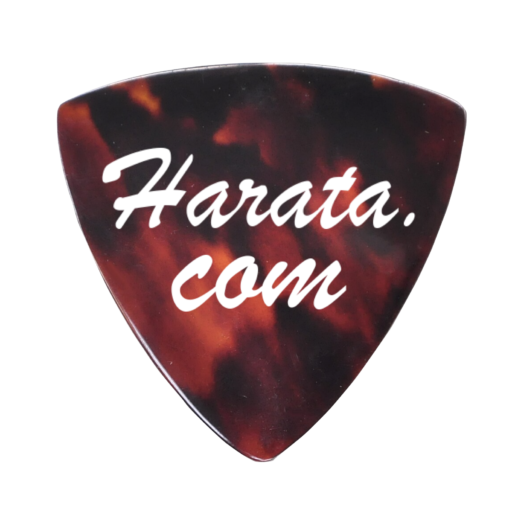 ギター弾き語りしようぜ‼️