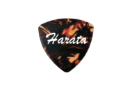 ギター弾き語りしようぜ‼️ はらちゃんのホームページです